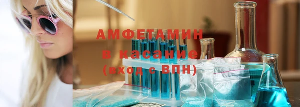трава Пересвет
