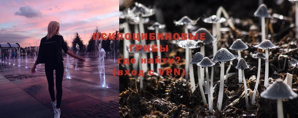 спиды Покровск