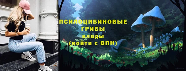 твердый Покачи