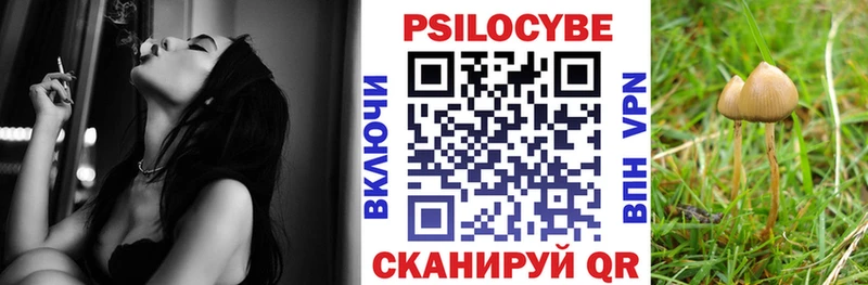 Галлюциногенные грибы мицелий Рошаль