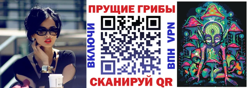 Галлюциногенные грибы Cubensis  наркошоп  Рошаль 